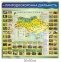 Стенди для кабінету біології – комплект навчальних плакатів та портретів вчених 2