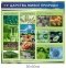 Стенди для кабінету біології – комплект навчальних плакатів та портретів вчених 0