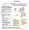 Комплект стендів для швейної майстерні та уроків трудового навчання 8