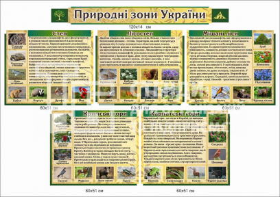 Природні зони України