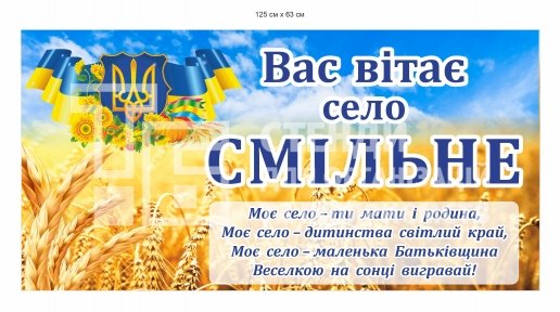 В'їзна панель 