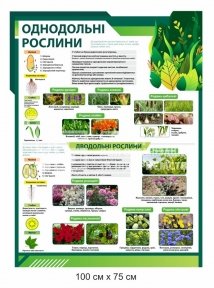 Стенд 