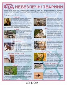 Інформаційний стенд  Інформаційний стенд